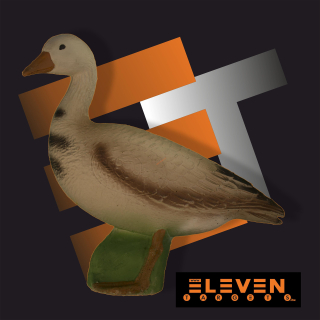 3D hus Eleven