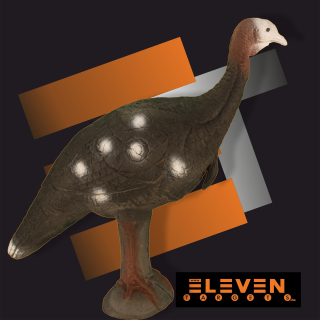 3D divá morka Eleven