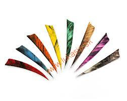 Pierka natur 4" shield camo