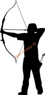 Samolepka na auto - barebow