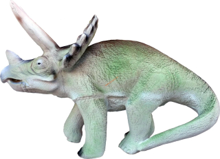 3D Triceratops Eleven