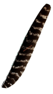 Pierka Bearpaw natur barred