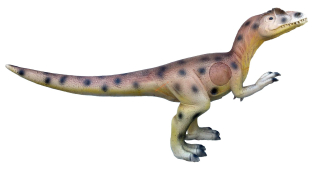 3D Allosaurus Eleven s insertom
