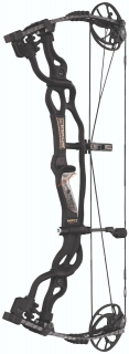 Hoyt Carbon Spyder ZT34 30" 60LB RH