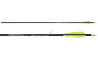Šíp Skylon Bruxx 23 8.0