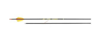 Šíp Cross-X Element natur s prírodnými letkami 2"