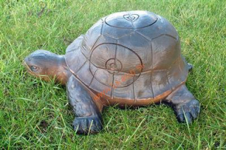 3D korytnačka WildLife