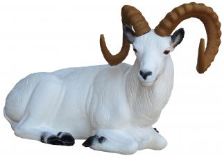 3D ležiaca ovca Dallova SRT