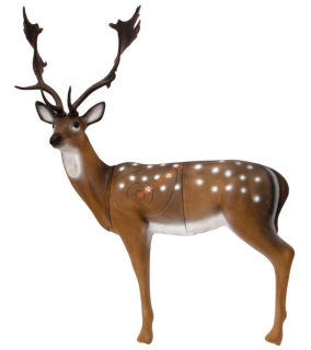 3D daniel SRT