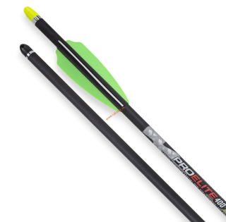 Šípy Tenpoint Carbon Pro Elite 400 / 20" s končíkmi Alpha Nock .003" - 6 kusov