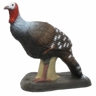 3D divá morka SRT