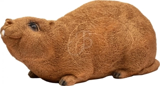3D krysa bambusová (bamboo rat) Booster