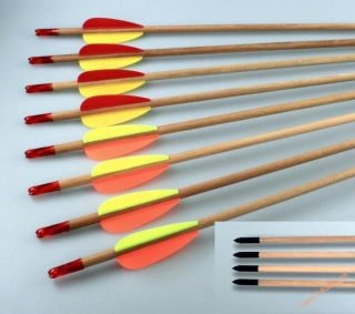 Šíp junior s hrotom field 29"